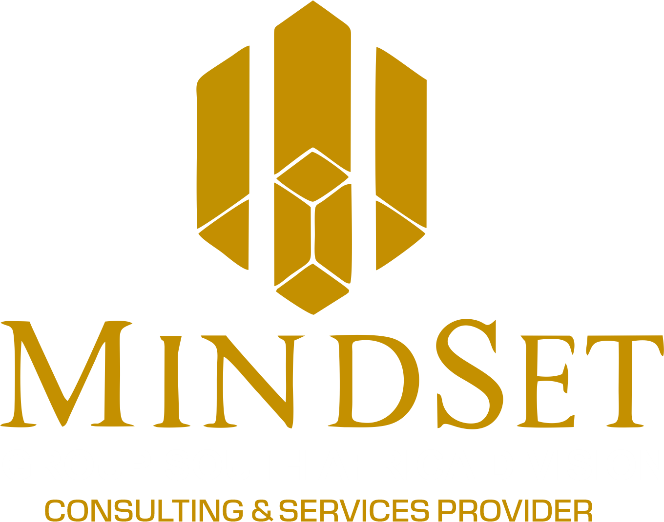 Mindset Group South Africa Division